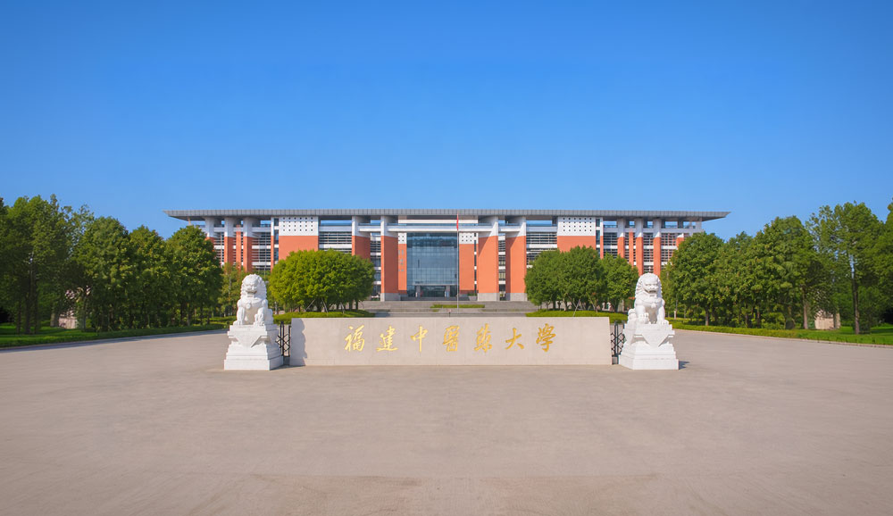 为基层教育高质量发展注入青春动能