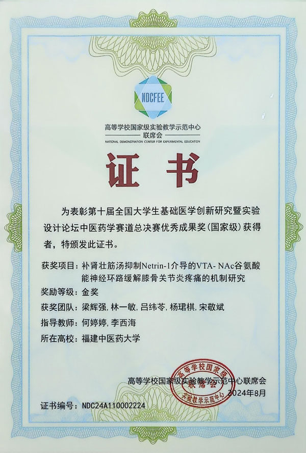 荣誉证书